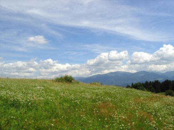 Sankt Marein bei Knittelfeld Hochfelner-Prutti - Stockerhof 빌라 외부 사진