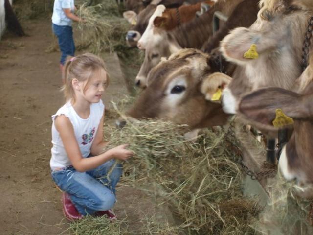 Sankt Marein bei Knittelfeld Hochfelner-Prutti - Stockerhof 빌라 외부 사진